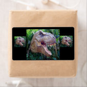 Étiquettes dinosaures pour enfants (En situation)