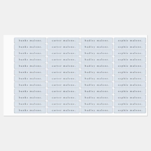 Étiquettes Dusty Blue Gingham Waterproof Name (Feuille)