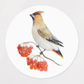 Étiquettes Écirage d'oiseaux de la forêt d'aquarelle (Design 1)