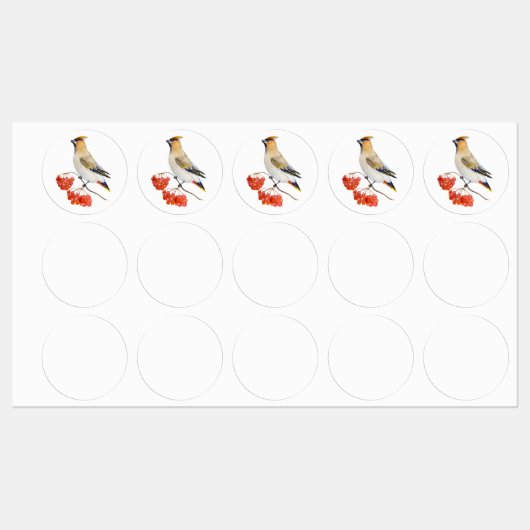 Étiquettes Écirage d'oiseaux de la forêt d'aquarelle (Feuille)