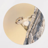 Étiquettes Écureuil (Design 1)