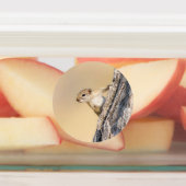 Étiquettes Écureuil (Apposé)