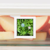 Étiquettes Espoir (Apposé)