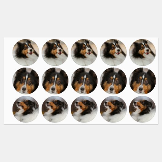 Étiquettes Étagère (Feuille)