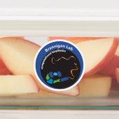 Étiquettes Étiquettes/autocollants (Apposé)