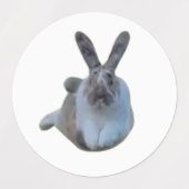 Étiquettes Feuille d'autocollant des rideaux IRL (Design 2)