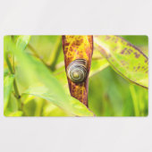 Étiquettes fixation calme (Design 2)