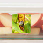 Étiquettes fixation calme (Apposé)