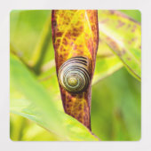 Étiquettes fixation calme (Design 2)