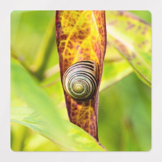 Étiquettes fixation calme (Design 2)