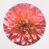 Étiquettes Fleur bleu clair Dahlia (Design 2)
