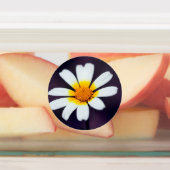 Étiquettes Fleur sauvage (Apposé)