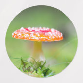 Étiquettes Fliegenpilz (Design 2)