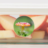 Étiquettes Fliegenpilz (Apposé)