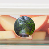 Étiquettes Forêt moussue (Apposé)
