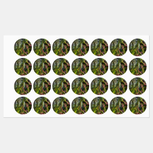 Étiquettes Forêt moussue (Feuille)