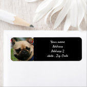 Étiquettes français de l'expédition Bulldog (En situation)