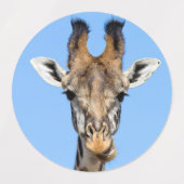 Étiquettes Giraffe (Design 1)