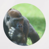 Étiquettes Gorilla Lope (Conception Ronde) (Design 1)