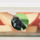Étiquettes Gorilla Lope (Conception Ronde) (Apposé)