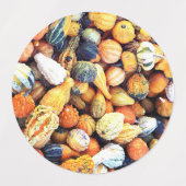Étiquettes Gourdes colorées C (Design 1)