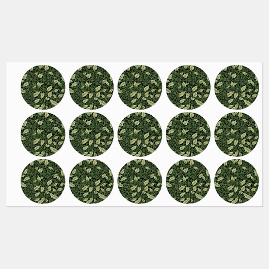 Étiquettes Grappe de vignes dans les nuances de vert (Feuille)