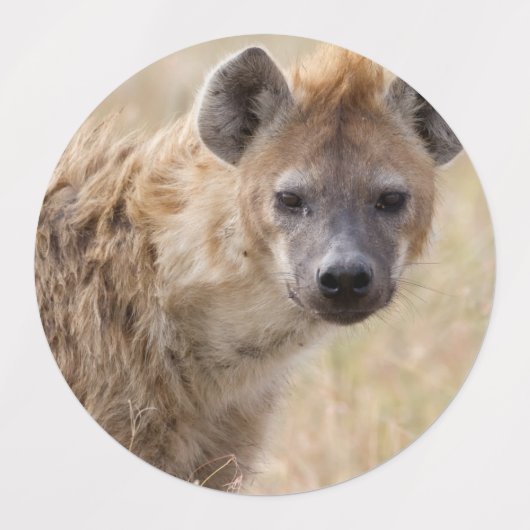 Étiquettes Hyena (Design 1)