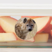 Étiquettes Hyena (Apposé)