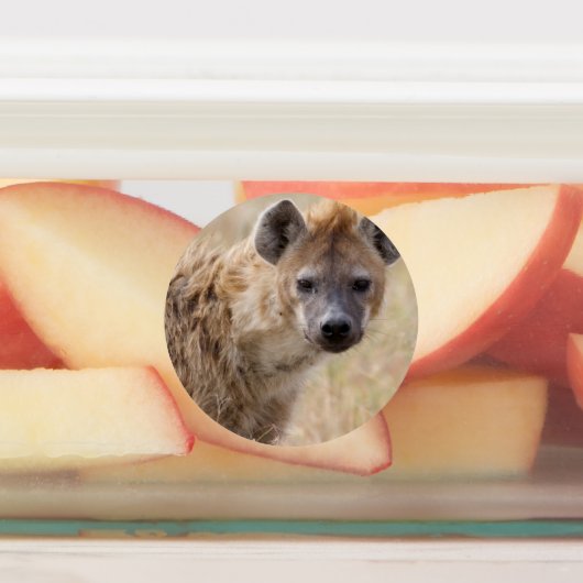Étiquettes Hyena (Apposé)
