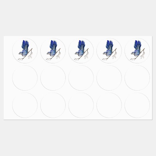 Étiquettes Jay bleu d'oiseau de la forêt (Feuille)