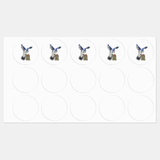 Étiquettes Jay bleu d'oiseau de la forêt (Feuille)