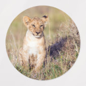 Étiquettes Jeune lion (Design 2)