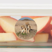 Étiquettes Jeunes lions (Apposé)