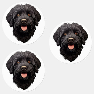 Étiquettes Labradoodle Chien Noir
