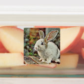 Étiquettes lapin toony (Apposé)