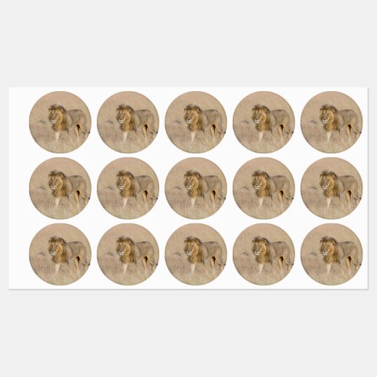 Étiquettes Lion marchant (Feuille)