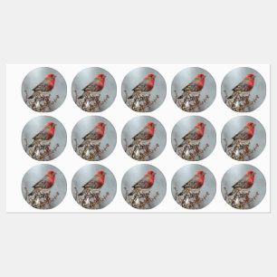 Étiquettes Maison Finch en Neige - Photo originale