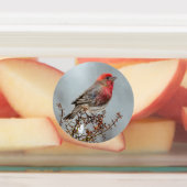 Étiquettes Maison Finch en Neige - Photo originale (Apposé)