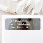 Étiquettes maltais de la messagerie de marionnette (En situation)