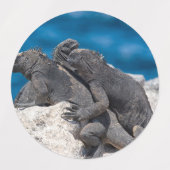 Étiquettes Marine Iguana (Design 1)