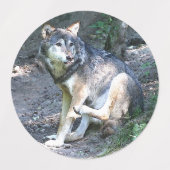Étiquettes McAfee Wolf (Design 2)