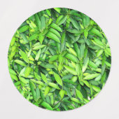 Étiquettes Motif Feuille verdoyant - Nature Botanique (Design 1)