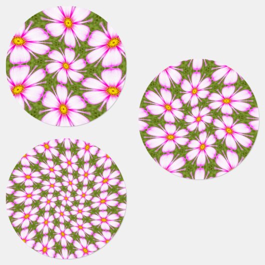 Étiquettes Motif Fleurs Cosmos (Groupe)