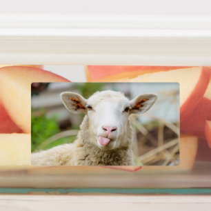 Étiquettes Mouton montrer langue