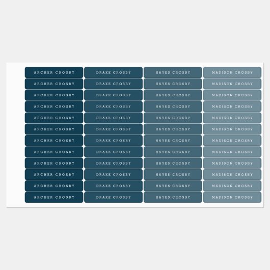 Étiquettes Nom étanche de type simple (Feuille)