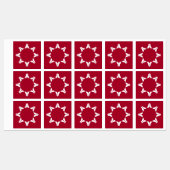 Étiquettes Oglala Sioux (Feuille)