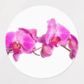 Étiquettes Orchidée (Design 2)