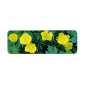 Étiquettes orientés de renoncule (Devant)