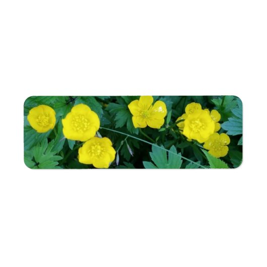 Étiquettes orientés de renoncule (Devant)