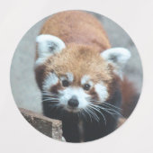 Étiquettes Panda rouge (Design 2)